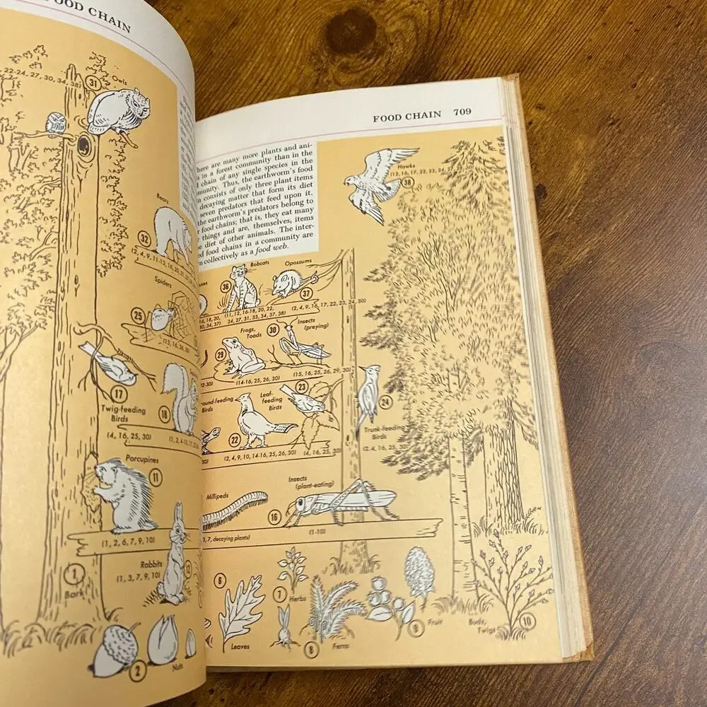 Audubon Nature Encyclopedia Volume 4 - EA-GO - 1965 Hardcover Book